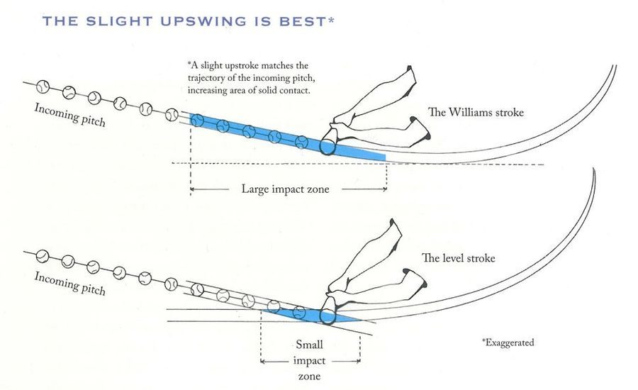Deadspin | The Beautiful Infographics Of Ted Williams's <em>The Science  Of Hitting</em>