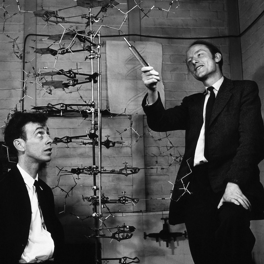 Francis Crick, Rosalind Franklin, James Watson, and Maurice Wilkins | Science History Institute