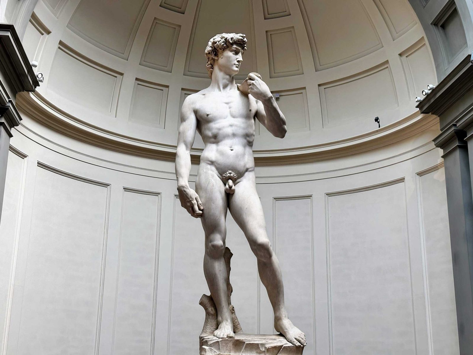 HOW TO SKIP THE LINE TO SEE THE STATUE OF DAVID (2026 Update) - The Tuscan  Mom