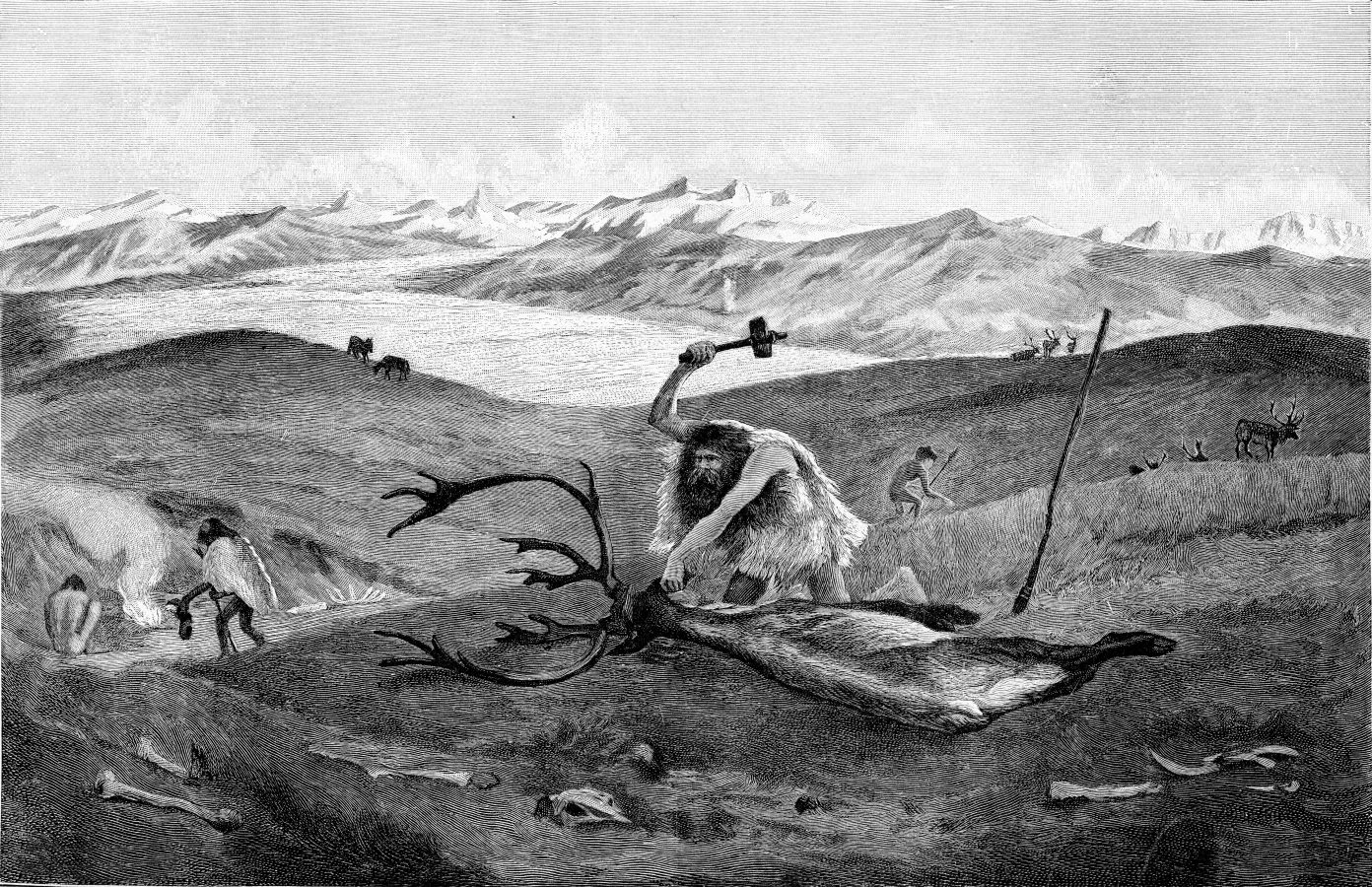 Early Humans Survived European Ice Age by Hunting Caribou » Explorersweb