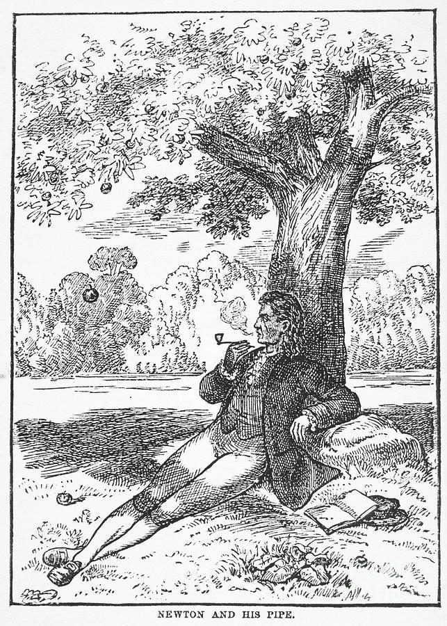 Isaac Newton And The Apple by Granger
