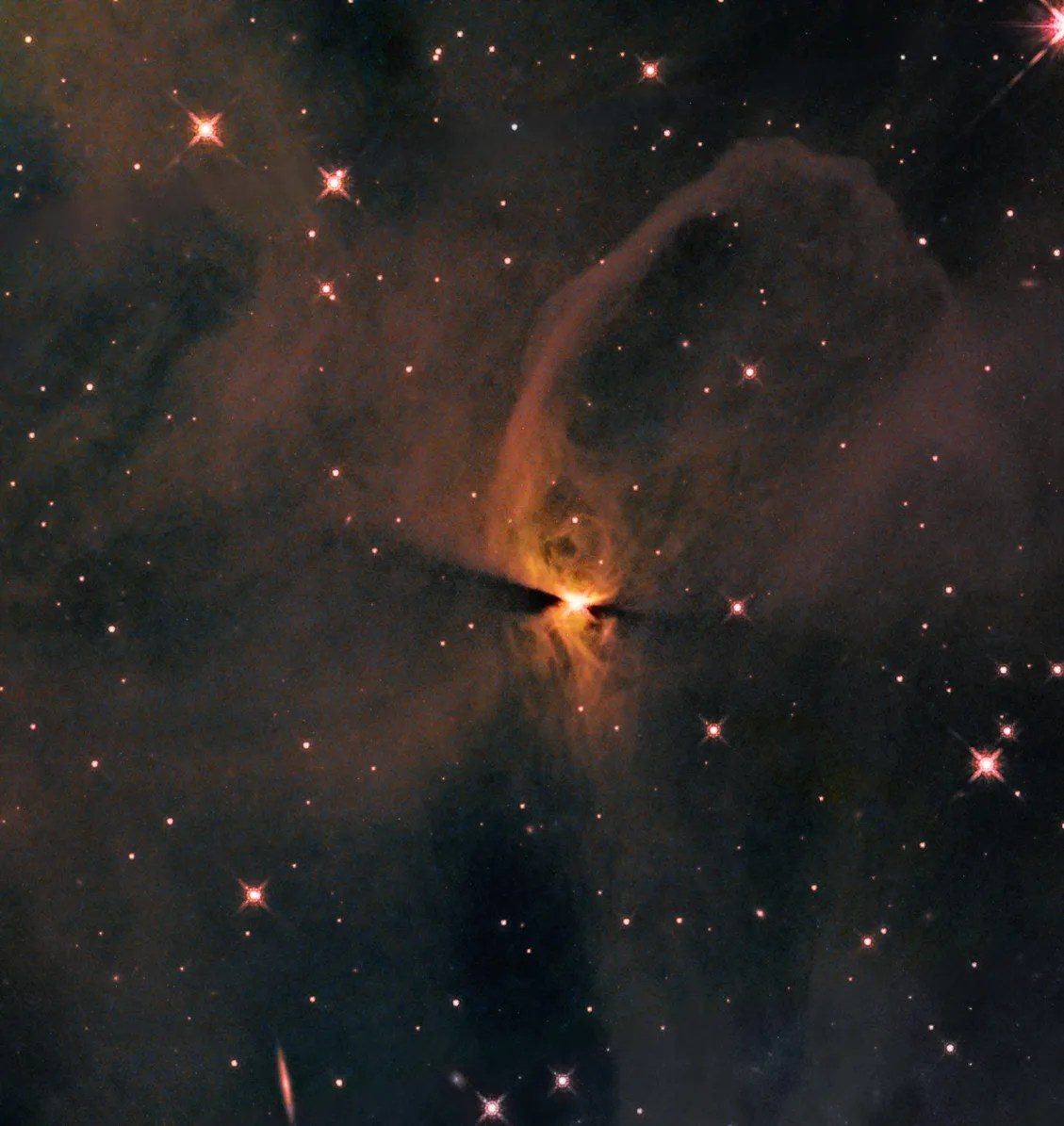 Hubble Spies Newly Forming Star Incubating in IC 2631 - NASA Science
