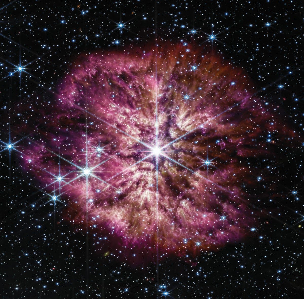Rare, Dust-Shrouded Dying Star Revealed in New JWST Image | Scientific American